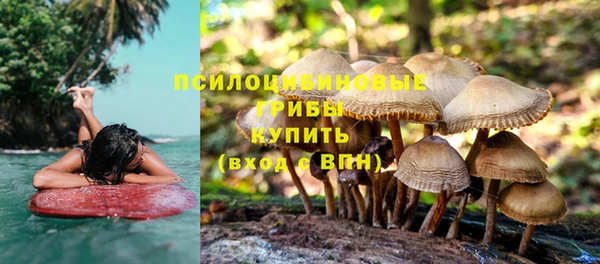 трава Баксан