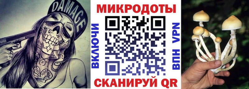 Псилоцибиновые грибы MAGIC MUSHROOMS  закладка  МЕГА tor  Лабинск 